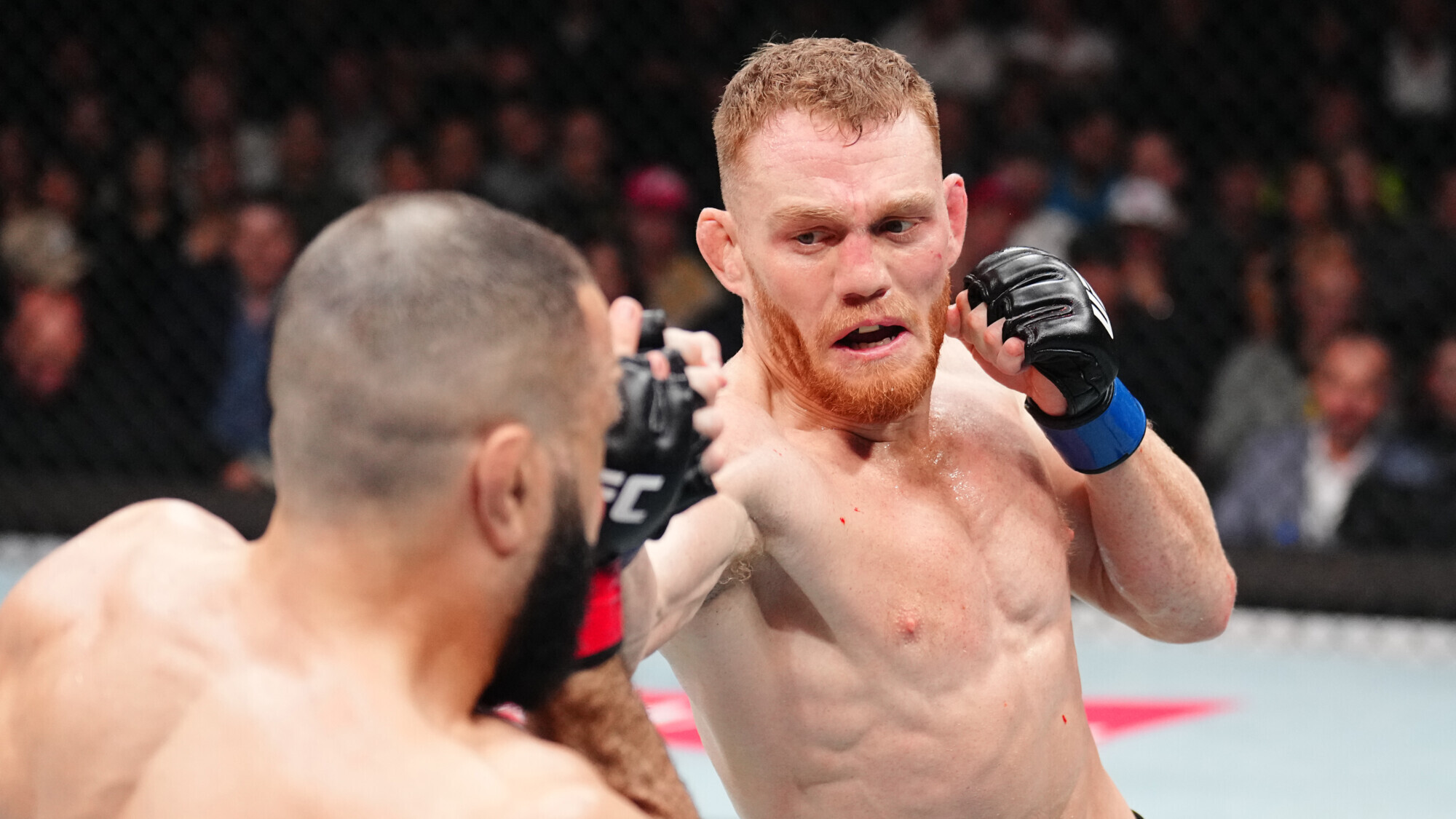Чемпион полусреднего веса UFC: Последние новости и достижения