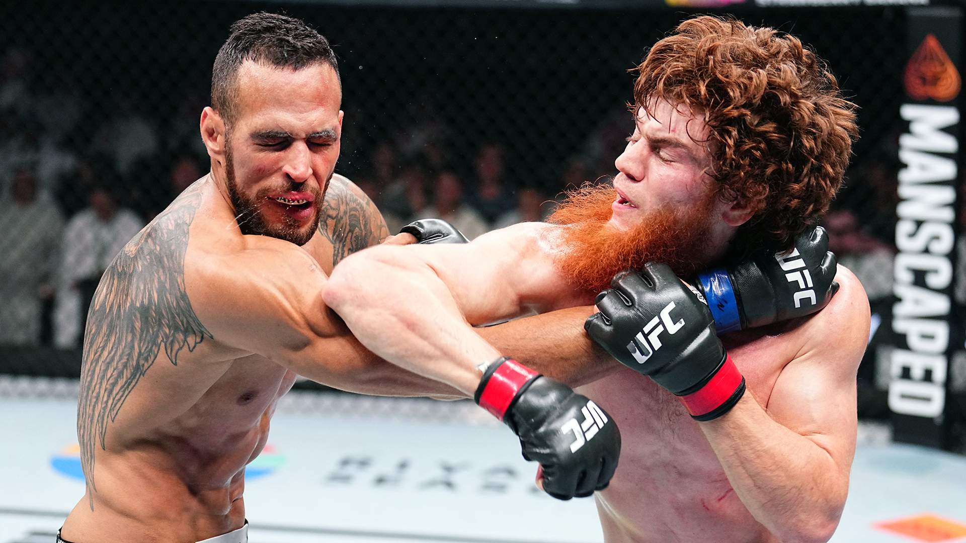 Главный бой UFC: Кто станет следующим чемпионом?